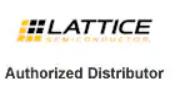 LATTICE 萊迪斯